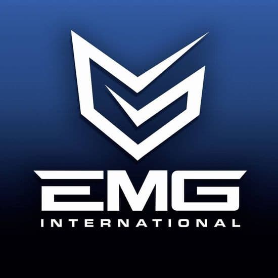 EMG Airsoft rifles and tactical accessories brand logo – UK & Ireland