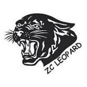 ZCI airsoft gearbox parts and AEG upgrade components at Bullseye Country Sport